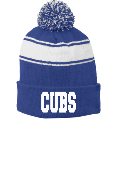 SWYF&C Stocking Cap